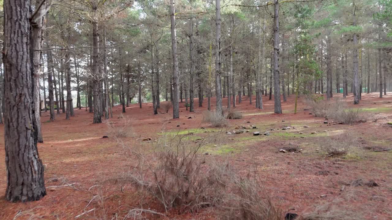 타이 발파라이소 칠레 켄 겨울 나무 드론