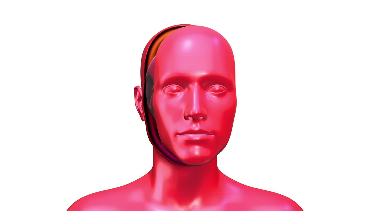 el cuerpo humano rojo es un concepto de arte abstracto en color blanco, un personaje 3d realista, un hombre o una mujer en un estilo de movimiento moderno creativo, un diseño psicodélico de colores mínimos, una animación de bucle de moda brillante.