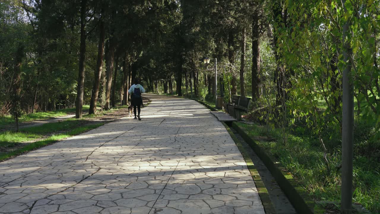 Girl with her dog walking on quiet park into green trees on both sides of road in a quiet autumn day
