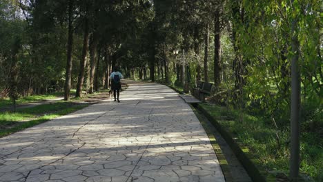 Girl-with-her-dog-walking-on-quiet-park-into-green-trees-on-both-sides-of-road-in-a-quiet-autumn-day