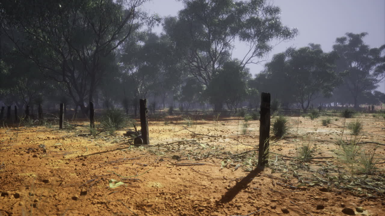 Dry landscape with scattered trees and abandoned fence posts in australia