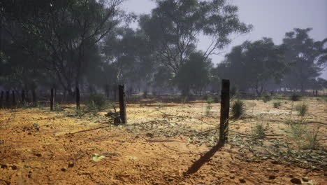 dry landscape with scattered trees and abandoned fence posts in australia