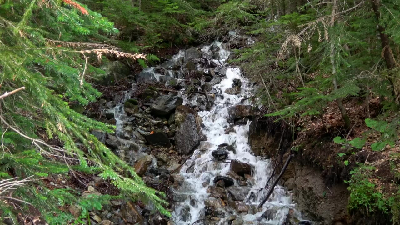 Fjellfoss i Dombai-skogen, landskap i Kaukasus nasjonalpark i Russland