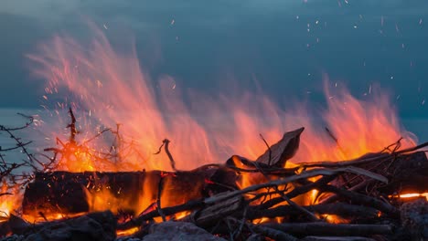 cinemagraph of a campfire at twilight on the beach