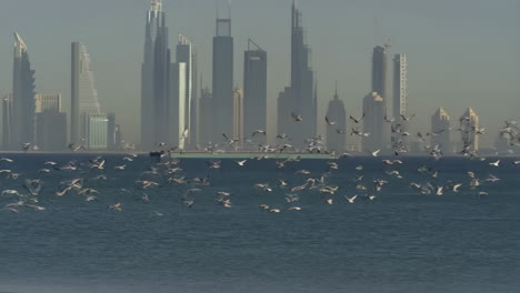 seagulls flying over water with modern city skyline