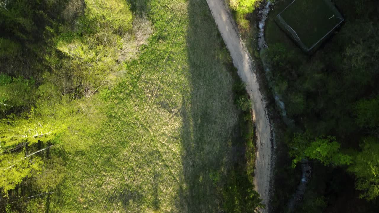 푸른 나무와 작은 산 샘 사이의 숲 하이킹 코스