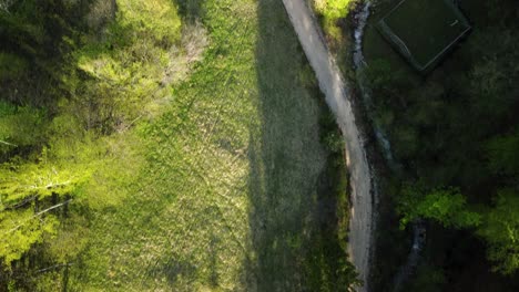 Forest-hiking-path-between-green-trees-and-small-mountain-spring