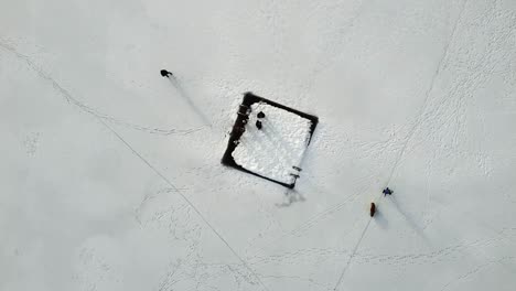 people and pet dog enjoying winter on frozen lake with pool in whistler, canada