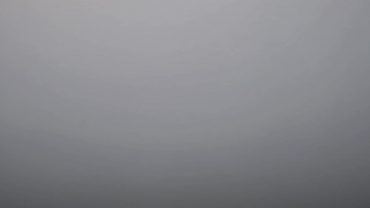 Ethereal fog envelops the scene, creating a soft gradient background with gentle color variations that evoke a sense of tranquility and serenity in the atmosphere