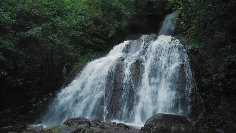 cascade waterfall in the wild forest