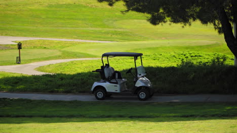 golf cart with clubs parked on a path near the green, sunny day