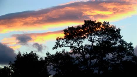 un lapso de tiempo de nubes multicolores sobre la silueta de los árboles en la zona rural de maine