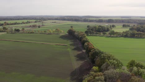 Areal-drone-footage-of-trees-with-autumn-colors-taken-at-place-called-Uetz-in-Brandenburg,-Germany