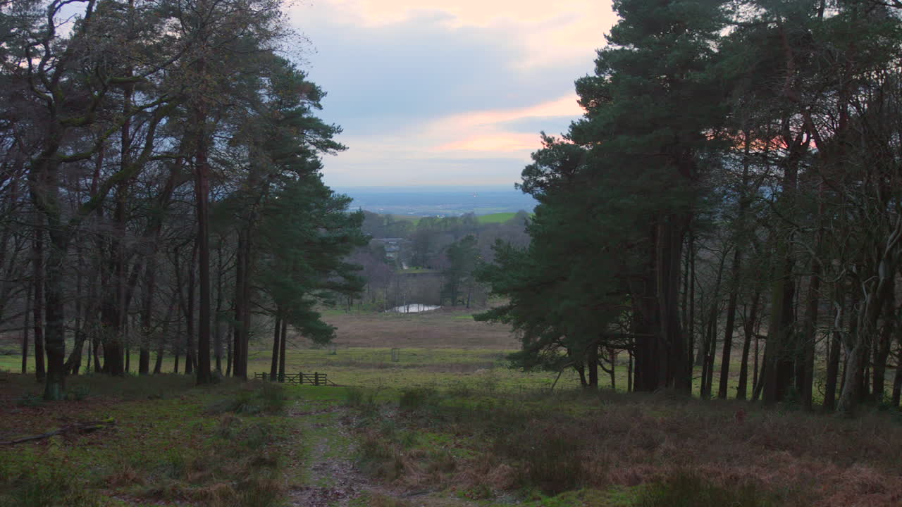 los bosques y campos de la finca de lyme park al sur de disley al anochecer