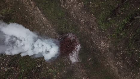 pyre of burning dry branches in field