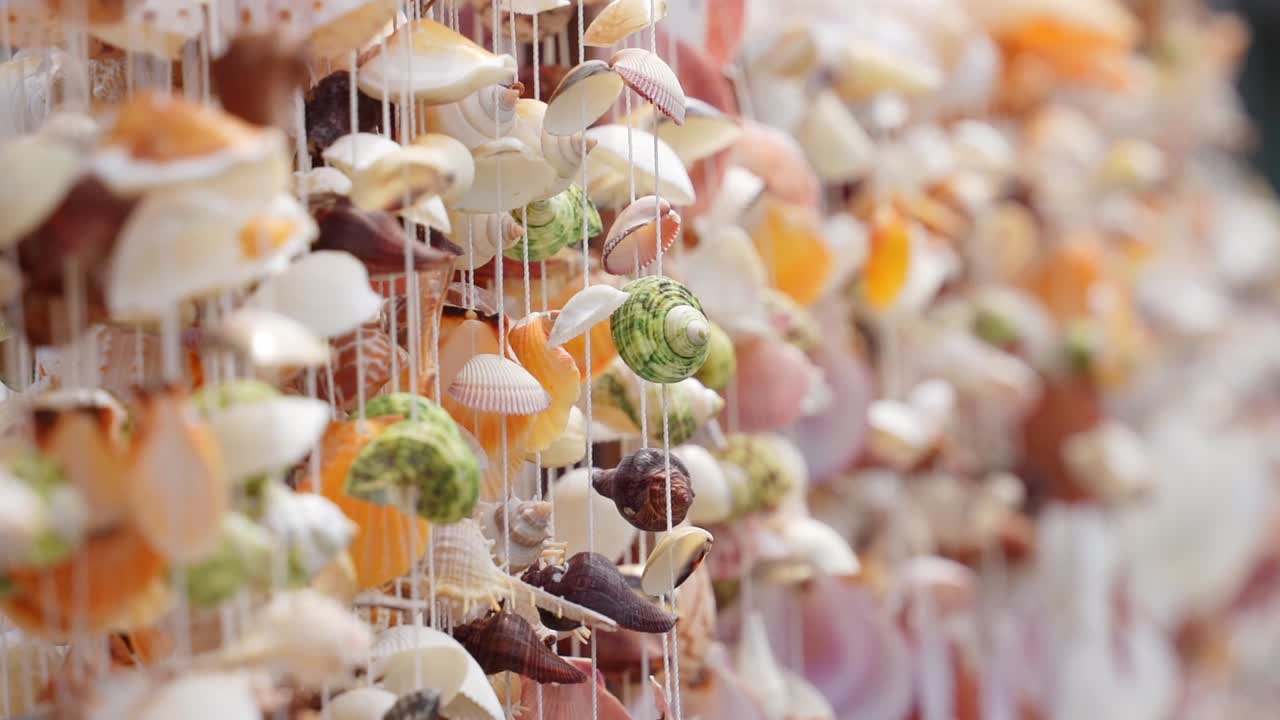 바다 조개 바람 울음소리