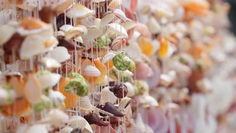 seashell wind chimes