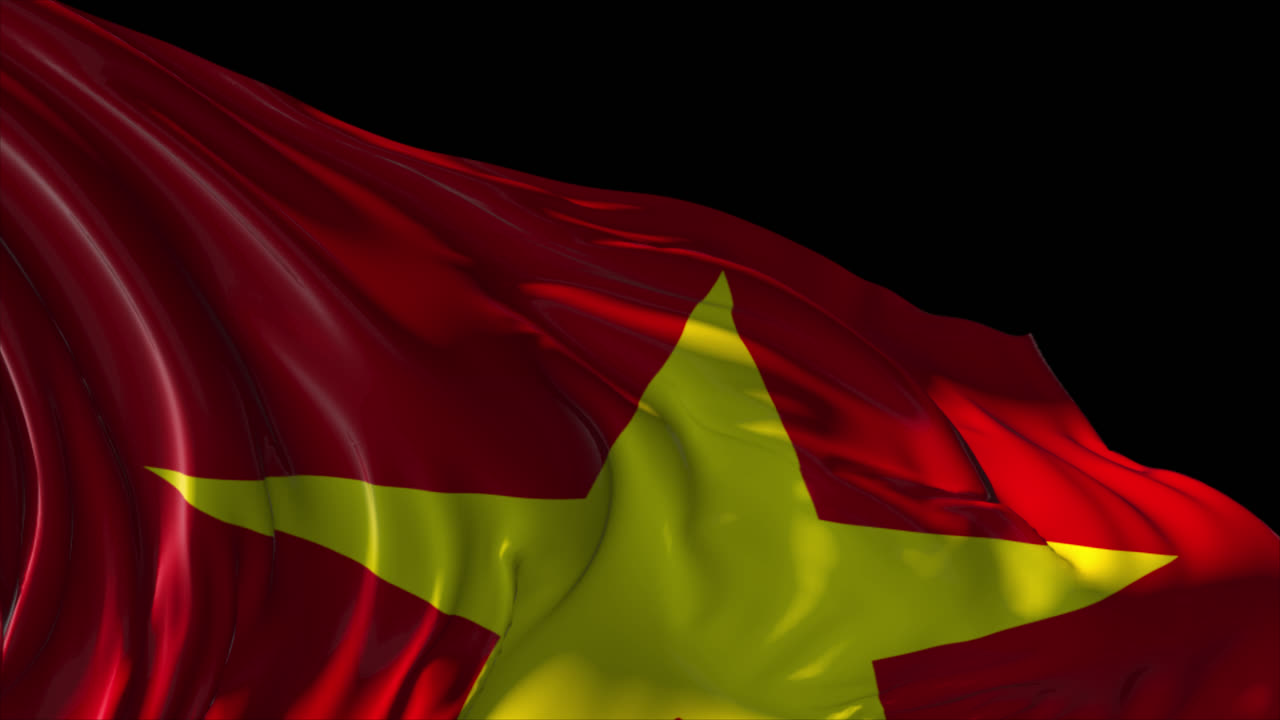 agitando la bandera vietnamita