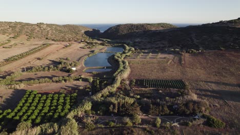 Imágenes-Aéreas-De-Campos-De-Agricultura-Verde-De-Higueras-Cerca-De-Praia-Da-Figueira,-Portugal