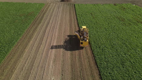 vista aérea de un cosechador de remolacha trabajando en el campo