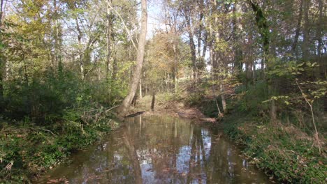 Dolly-Forward-Down-a-Stream-on-a-Summer-Afternoon