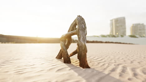 Ein-Stück-Einer-Alten-Wurzel-Liegt-Im-Sand-Des-Strandes