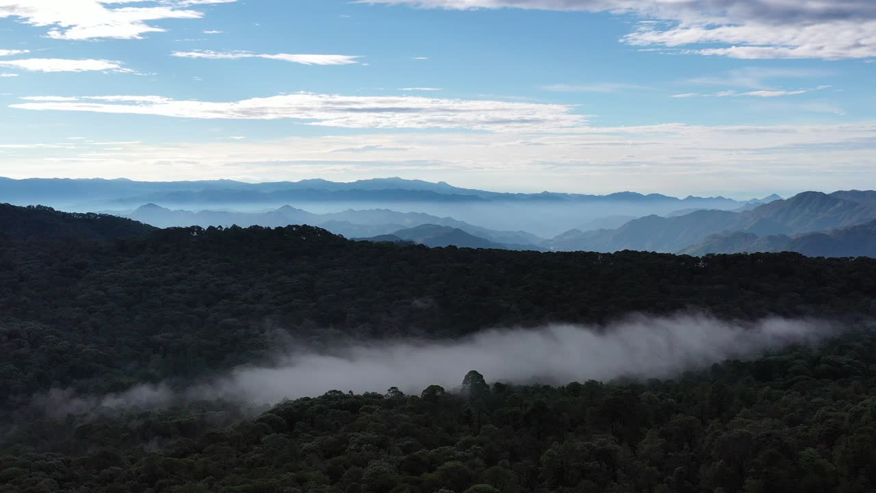 Breathtaking Aerial View of Misty Mountains and Lush Forests