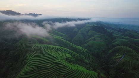 misty rice terraces aerial view