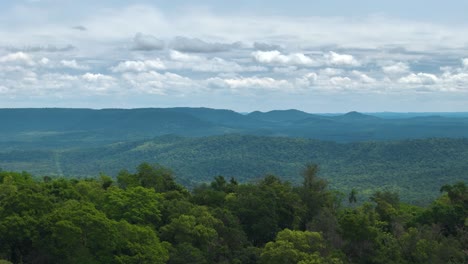 Drohne-Rückt-über-Einen-Riesigen-Atlantischen-Wald-In-Südamerika-Vor