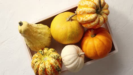 diferentes calabazas colocadas en caja