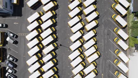 Dozens-of-school-buses-parked-in-lot