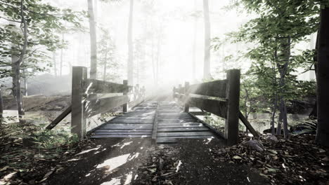 Mystische-Alte-Holzbrücke-Im-Nebel