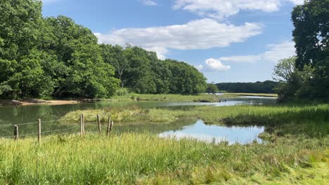 high tide in a river on the english countryside coast where there is no contact with any other humans on a sunny and hot summers day during a chill weekend walk with a dog