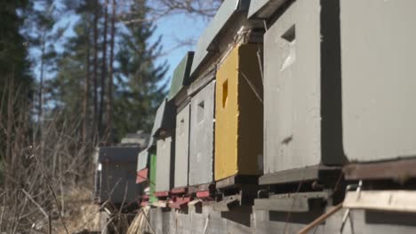 Raised-Bees-Flying-Within-The-Apiary-Area-For-Beekeeping,-During-Daytime