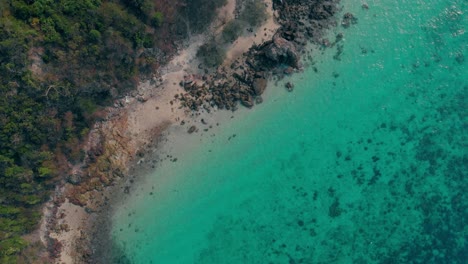 ocean-waves-roll-in-bay-at-high-hill-covered-with-forest