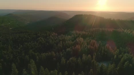 Luftaufnahme-Des-Waldes,-Der-Von-Der-Morgensonne-Getroffen-Wird