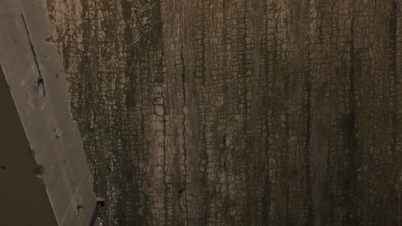 Primo piano di un muro ammuffito e incrinato
