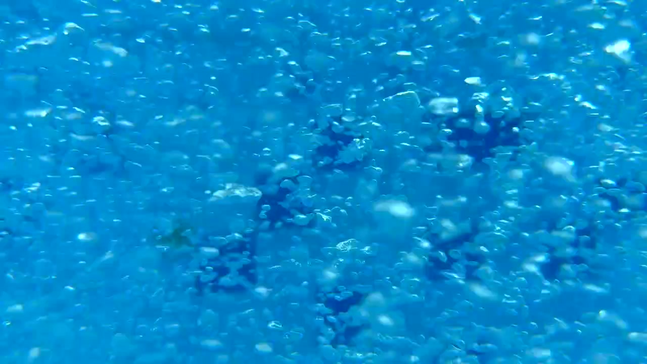 Vista subacquea di bolle d'aria in risalita nell'acqua blu