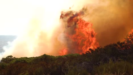 a vast scary fast moving wildifre burns brush on the hillsides of southern california during the cave fire in santa barbara