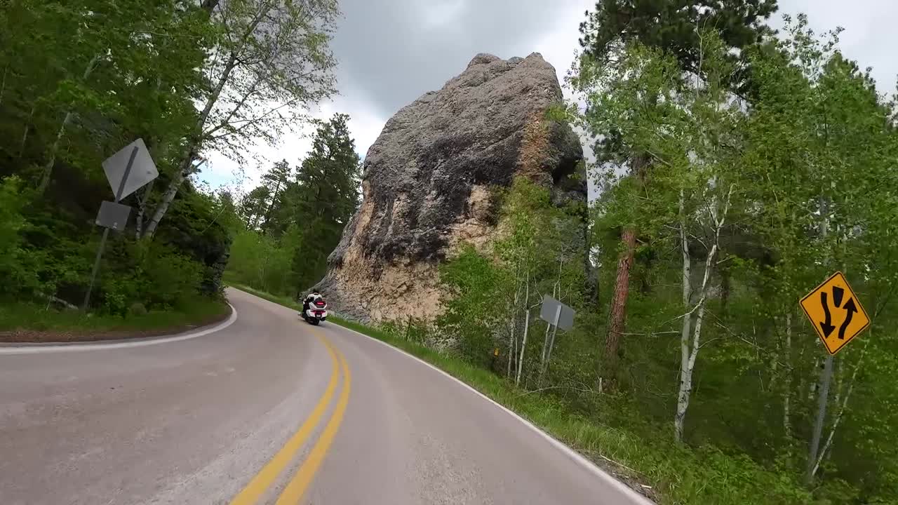 Strada verso il Monte Rushmore, Black Hills National Forest