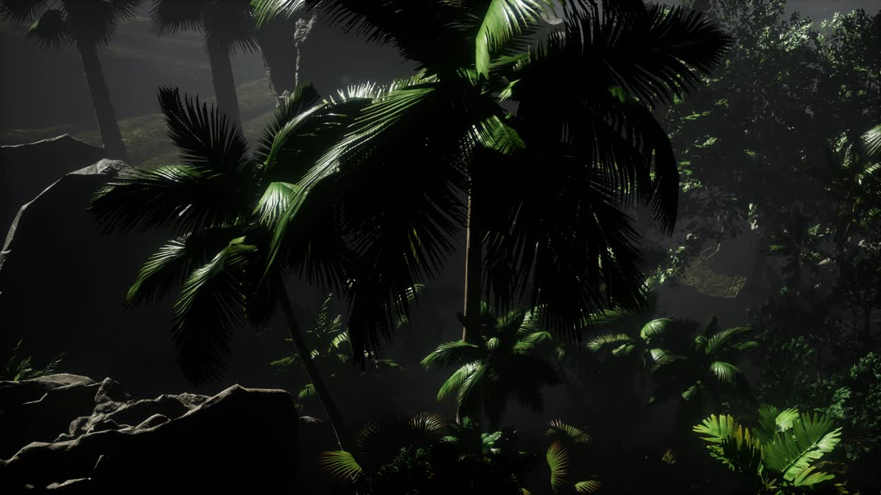 los rayos del atardecer a través de las palmeras