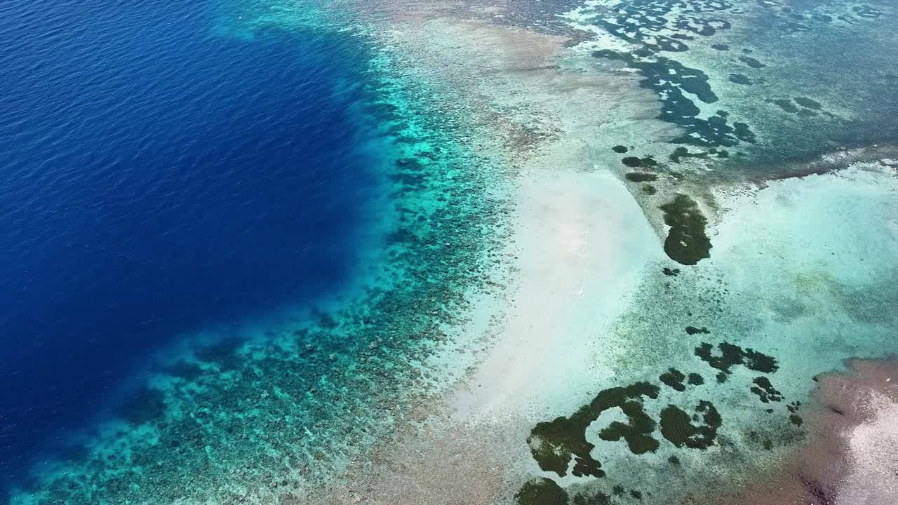 vista de pájaro del arrecife de coral en uno