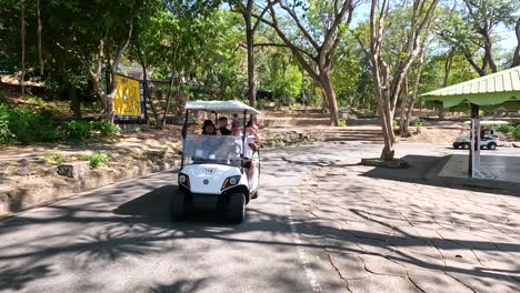 paseo en el carro de golf del zoológico