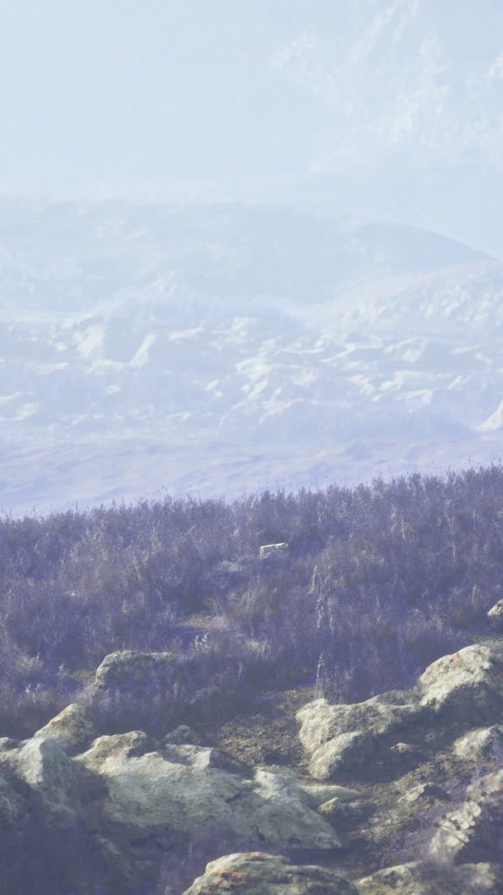 Rocky landscape with distant mountains and sparse vegetation in hazy light