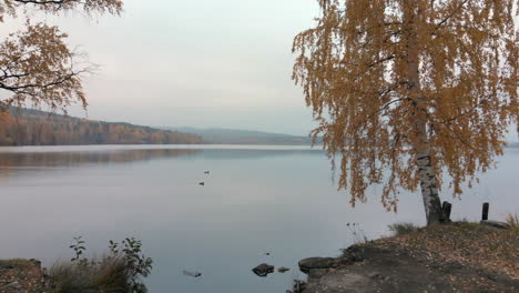 Beautiful-resting-area-by-a-calm-lake-next-to-a-rural-road