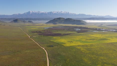 drone flight 1 of 4 high above bright yellow wild flowers