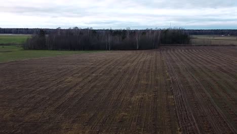 Aerial-view-at-flock-of-European-roe-deer-running-at-open-field-in-cloudy-autumn---winter-day,-wide-angle-establishing-drone-shot-moving-forward