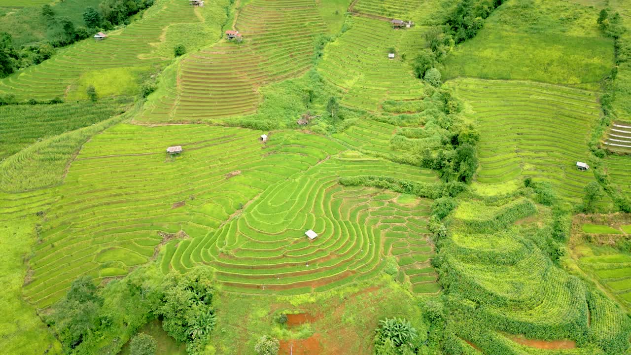 태국 치앙마이 인근의 도이 이타논에서 아름다운 산과  ⁇  테라스의 4k 영화 자연 공중 드론 영상