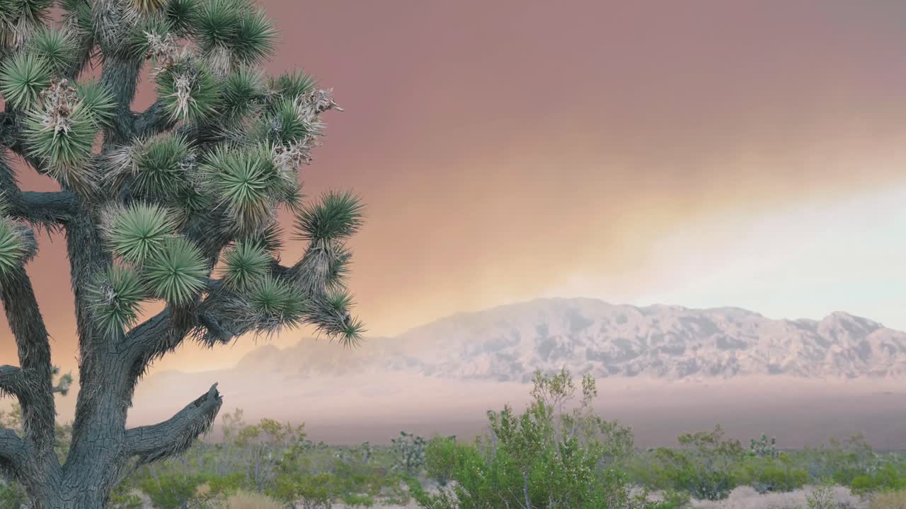 Joshua tree on a windy day with smoke from wild fire and mountains in a background