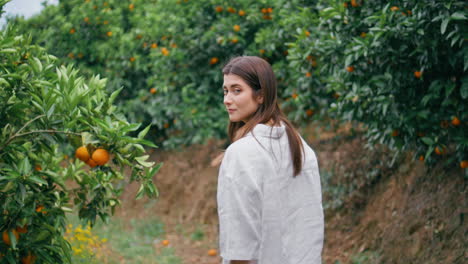 chica relajada caminando por el callejón de la plantación de naranjas vista trasera. dama girando hacia la cámara